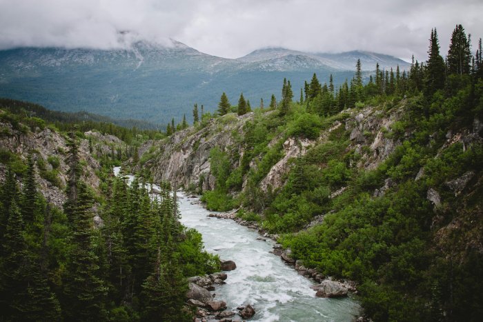 A river with rapids runs through the British Columbia wilderness with in the mountains.