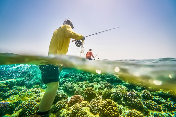 Two men walk in clear and shallow water on a corral reef in a tropical climate.