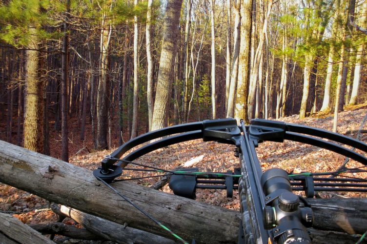 Deer Hunting With Crossbows and More Global Rule Changes