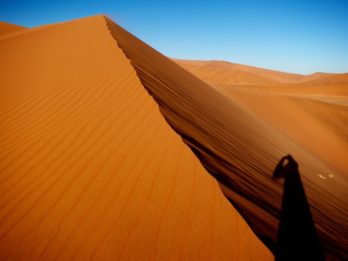 The tan sands of the Namibian desert under a blue sky.