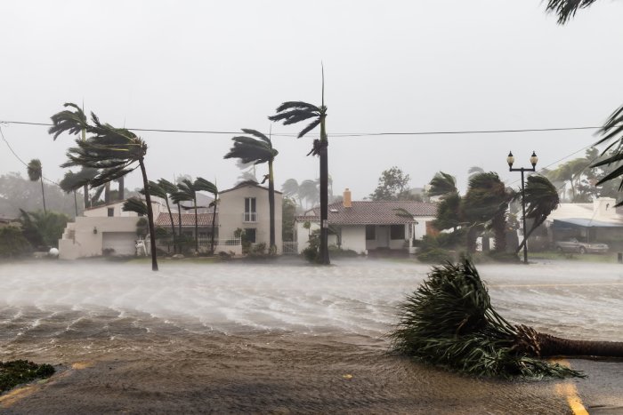 A hurricane's winds knock over palm trees and flood streets.