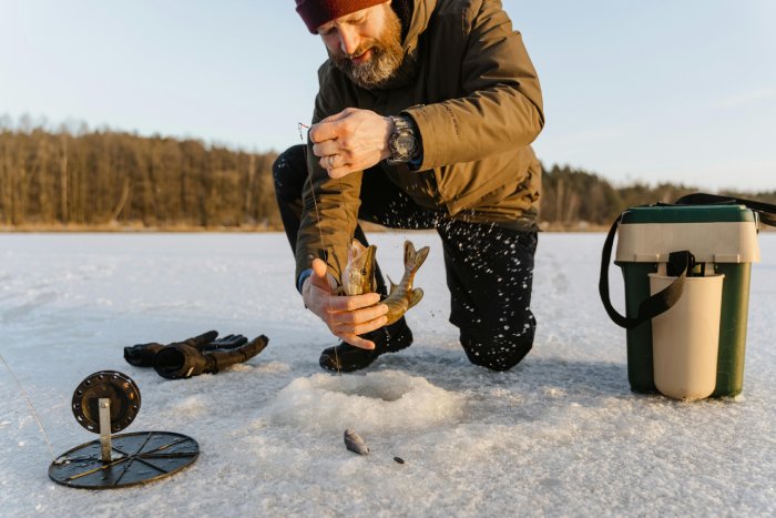 A man with a beard catches a fish while ice fishing.