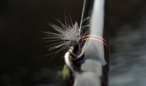 Close up of a fly fishing hook