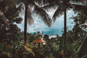 2024 in Review: Solo Adventures, Weird Laws, and SATCOM Rescues