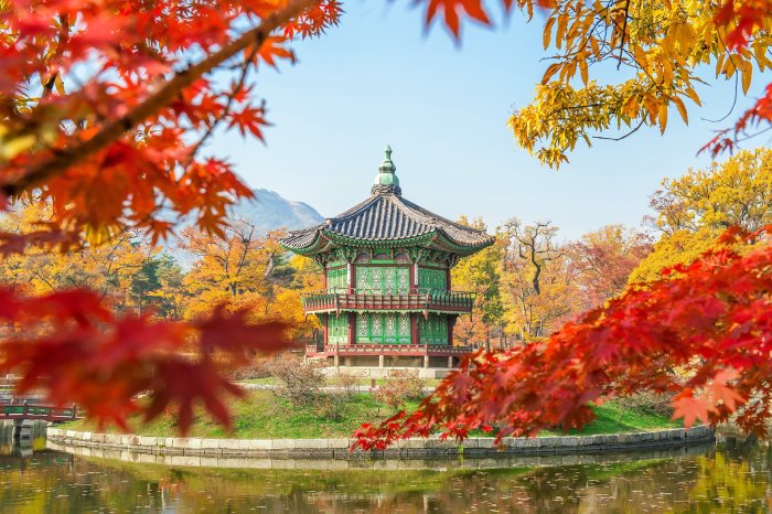 A South Korean temple is framed by the vibrant, autumn colors of Japanese maple leaves.