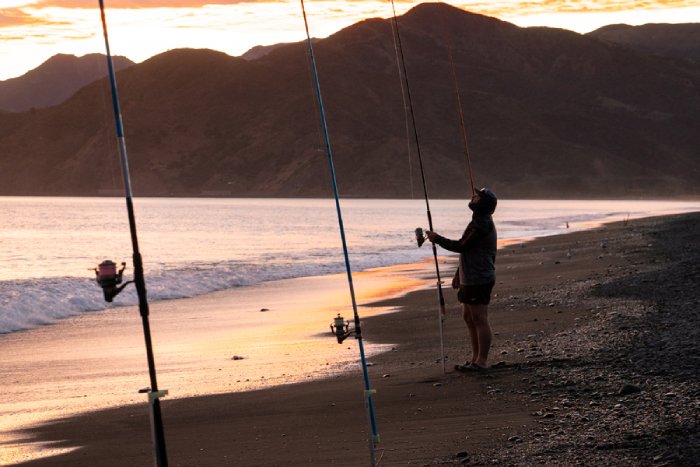 A man fishes from the beach at dusk in New Zealand.