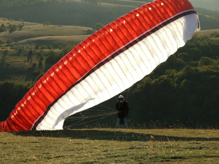 A paraglider on a grassy hillside just after landing.