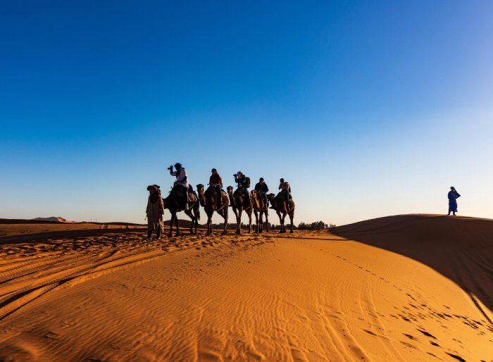 Several people riding camels in the sand dunes of Morocco.