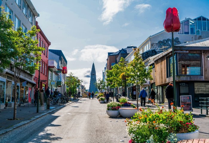 A flowery and sunny small street in Reykjavik, Iceland.