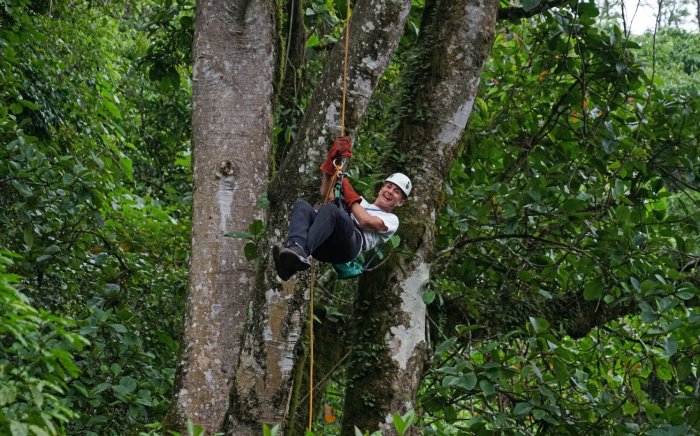 A man wearing a helmet hangs securely from a climbing rope in the trees.