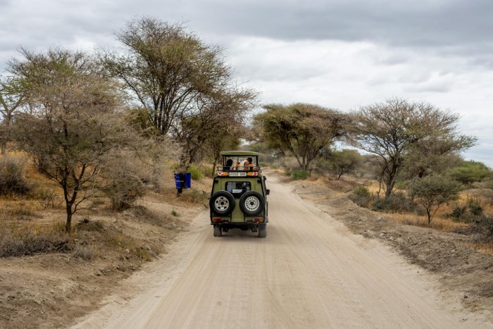 A safari jeep drives along a tree-lined dirt road in Tanzania.
