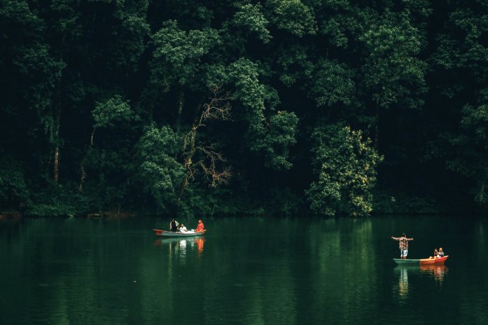 People on small paddle boats in a green lagoon surrounded by forest.