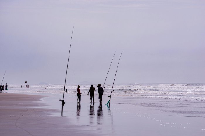 A group of people surfcasting on a beach.