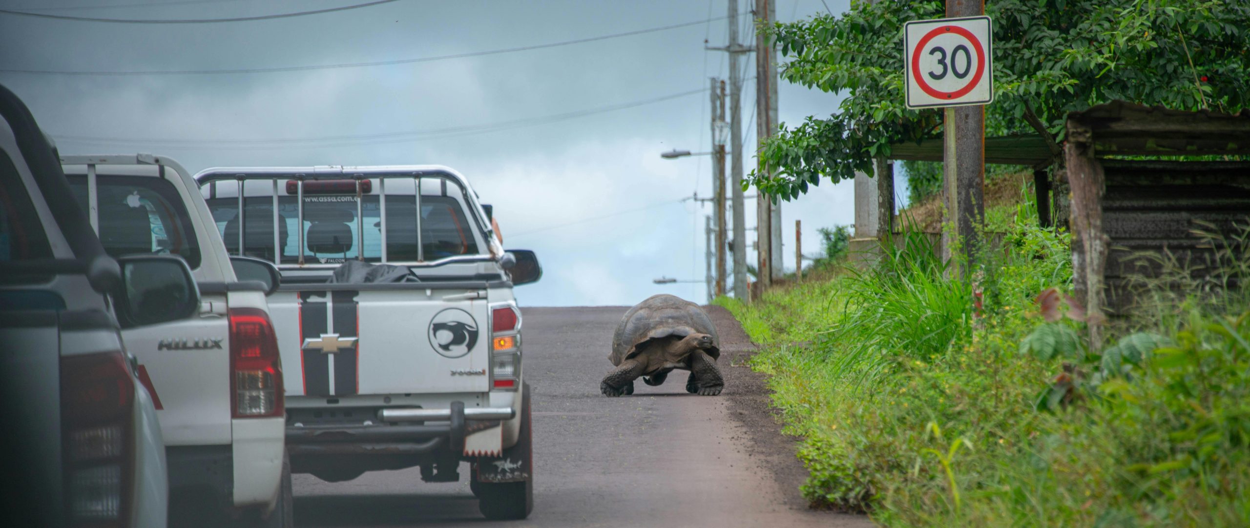 The Ultimate Guide To Exploring the Galápagos Islands: Wildlife, Safety and Adventure