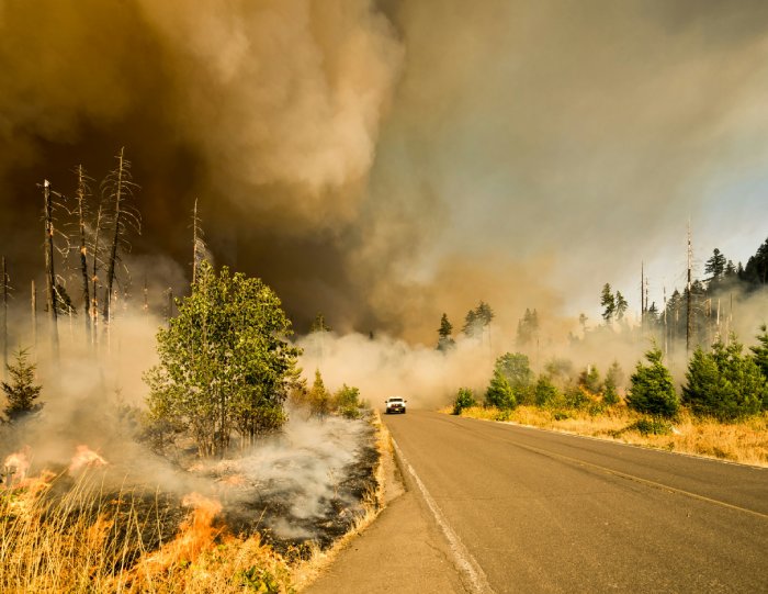 Wildfire smoke blows over a mountain road as an emergency services truck drives through it.