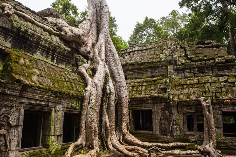 Things to Know Before Traveling to Cambodia