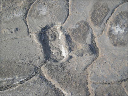 Global Rescue sponsors expedition to what might be modern man’s oldest footprints