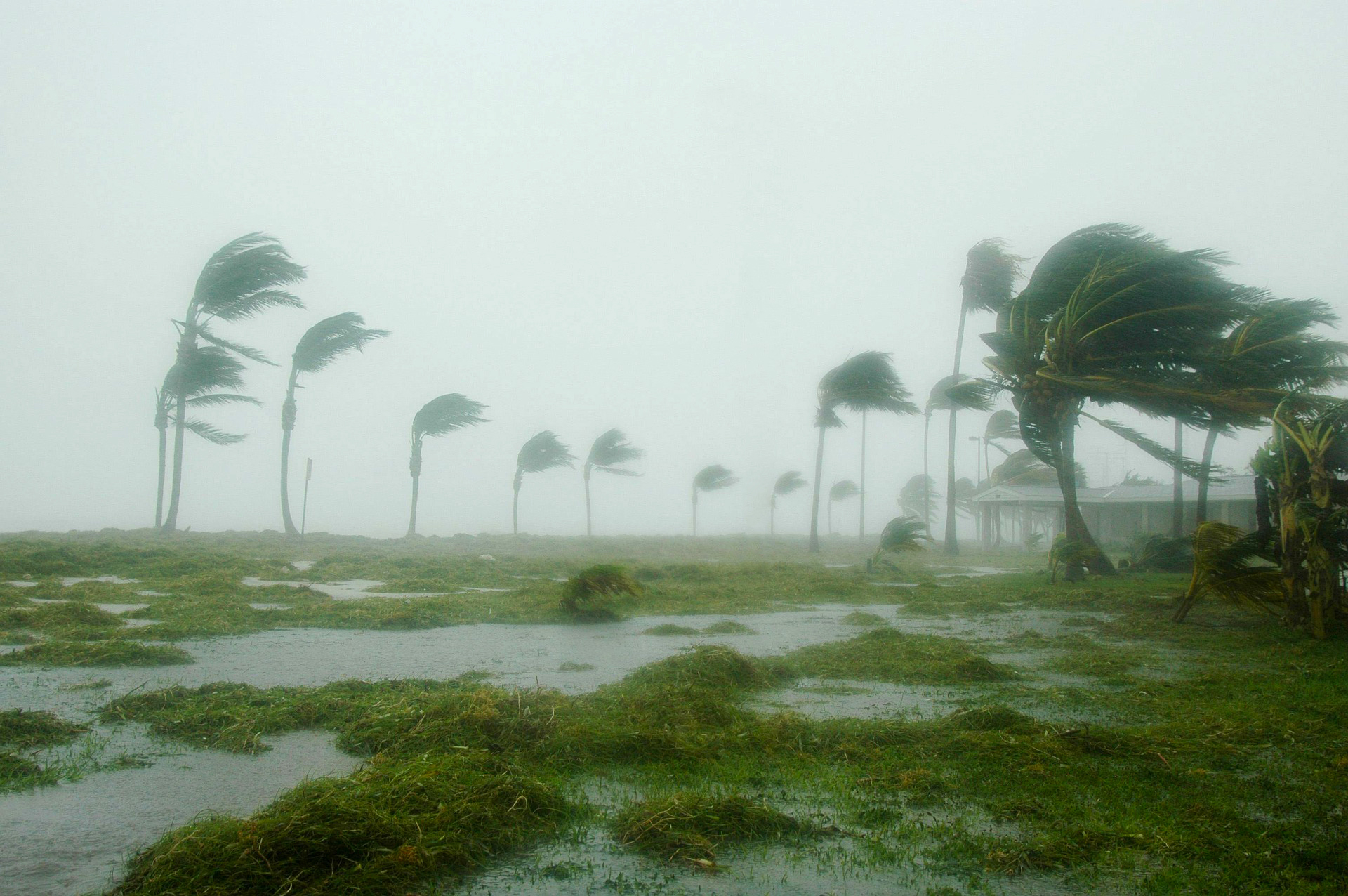 4 Ways To Survive a Hurricane