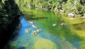 Considering Travel Protection Services? 7 Questions to Ask