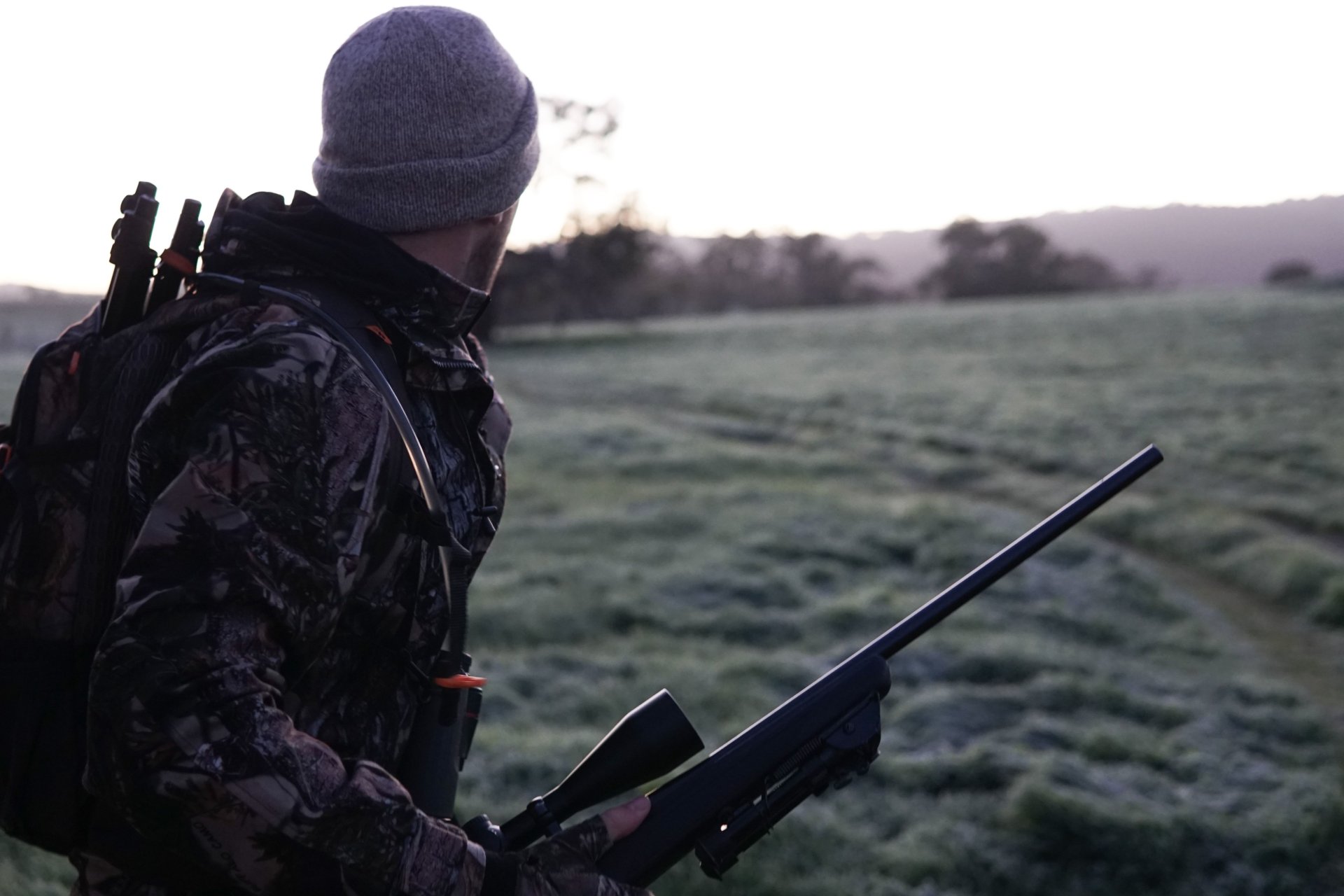 Why Is International Hunting Demand Reaching New Heights?