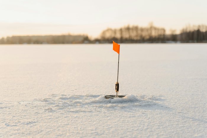 An ice fishing flag on a pole on a snow-covered lake.