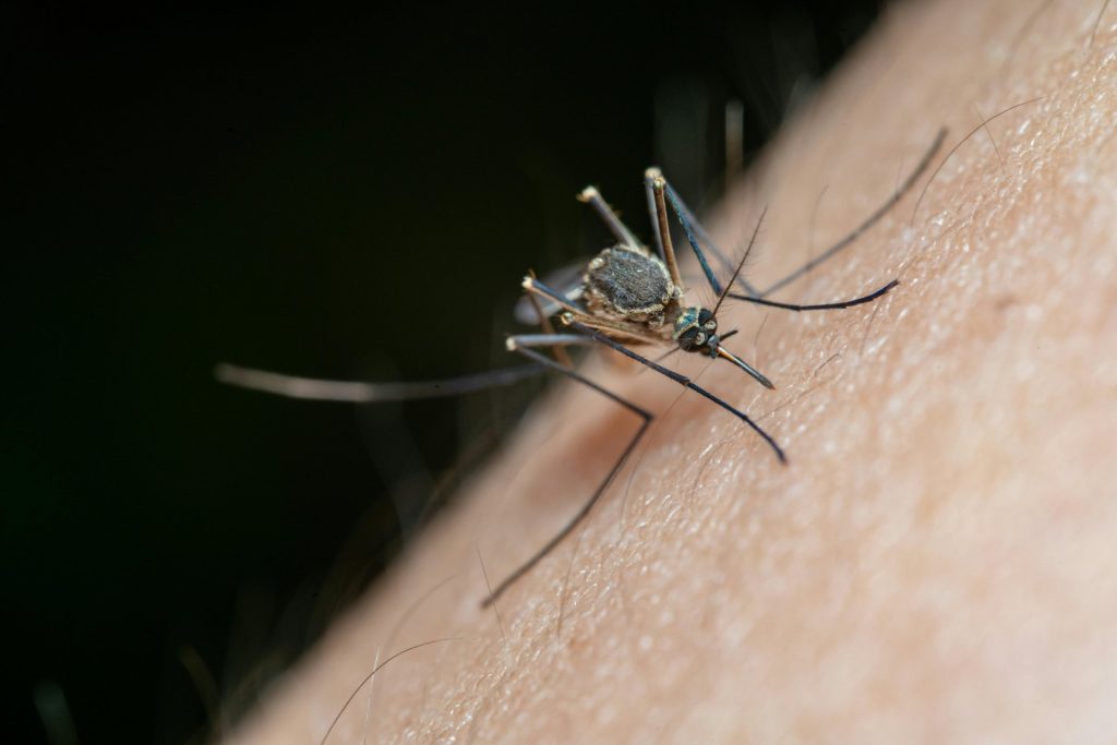 How Dengue and Vaccine Lag Are Redefining Travel Safety in 2026