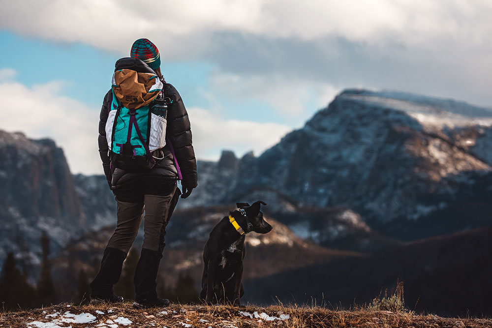 does dog need water for hiking